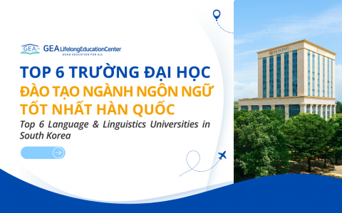 TOP 6 TRƯỜNG ĐẠI HỌC ĐÀO TẠO NGÀNH NGÔN NGỮ TỐT NHẤT HÀN QUỐC NĂM 2024